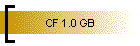 CF 1.0 GB