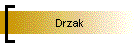 Drzak